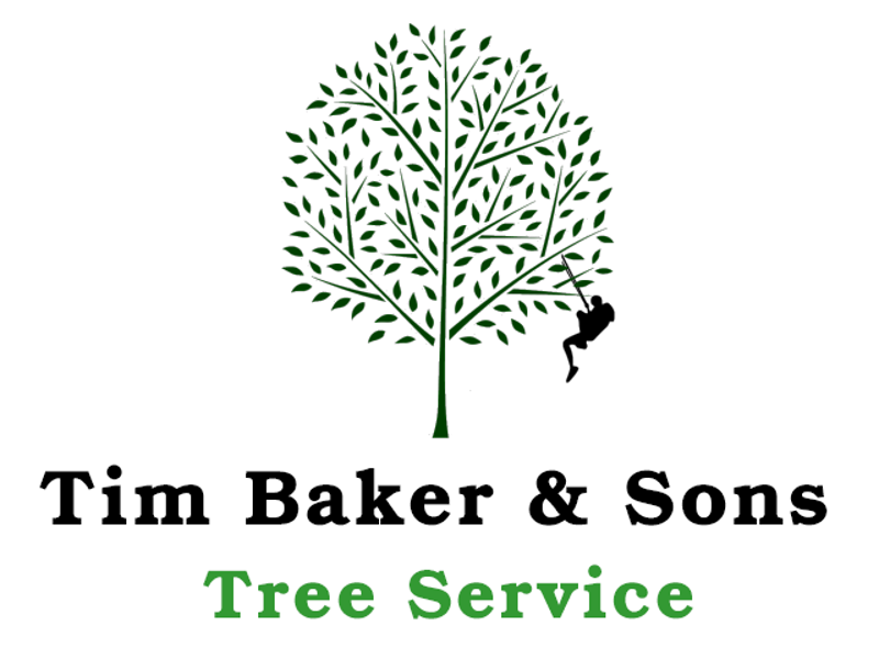 Tim Baker & Son Tree Work